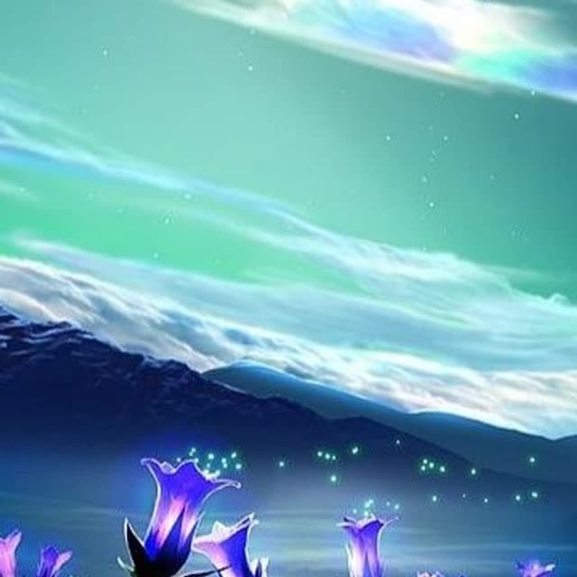 シリウスの空の下（Under the sky of Sirius）