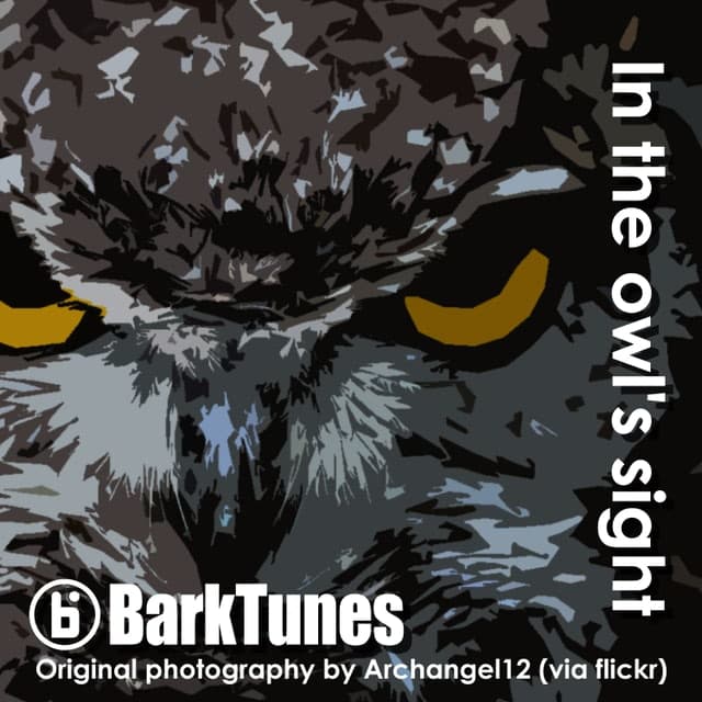 In the owl's sight