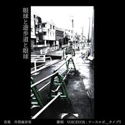 眼球と遊歩道と眼球