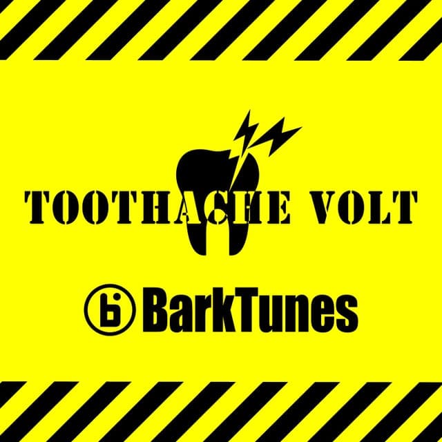 Toothache Volt