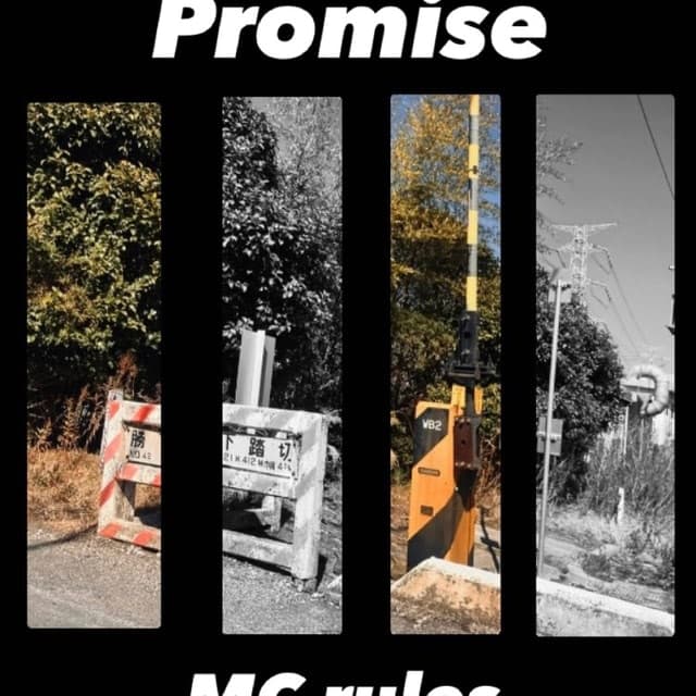 Promise