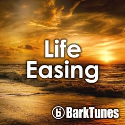Life Easing