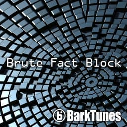 Brute Fact Block