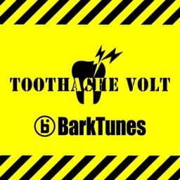 Toothache Volt
